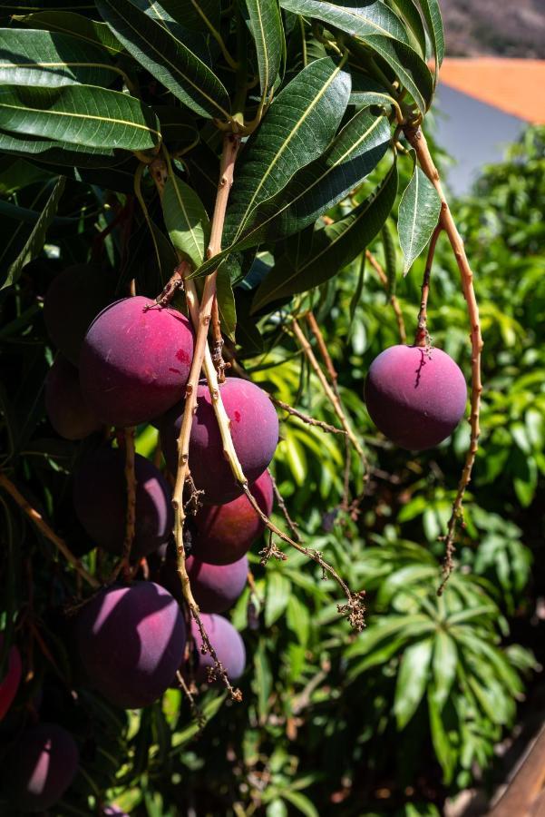 Finca El Moral ปวยร์โต เด มอแกน ภายนอก รูปภาพ