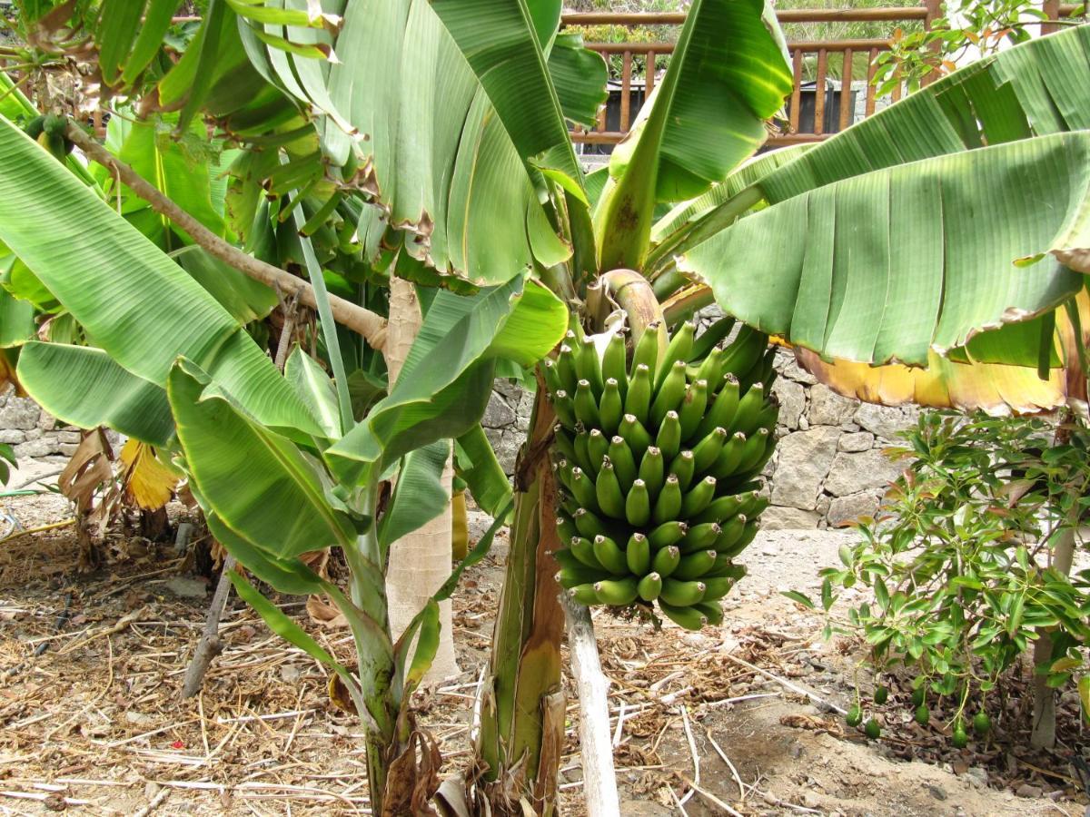 Finca El Moral ปวยร์โต เด มอแกน ภายนอก รูปภาพ